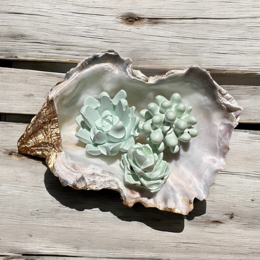 Gold Oyster Shell with Unscented Aroma Stone Succulents