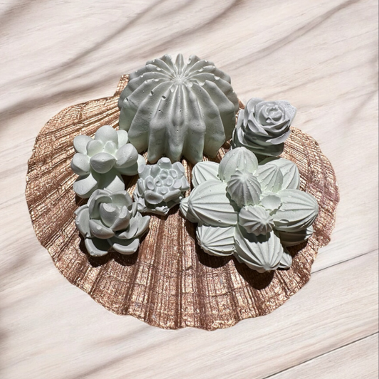 Gold Scallop Shell with Unscented Aroma Stone Succulents