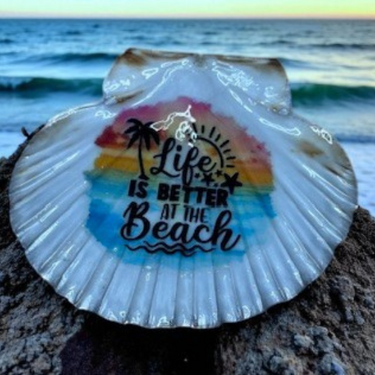 Solway Scallop Shell Trinket Dish - Life is Better at the Beach