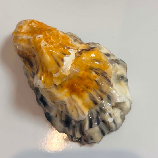 Jewelled Tide – Handmade Oyster Shell Trinket Dish
