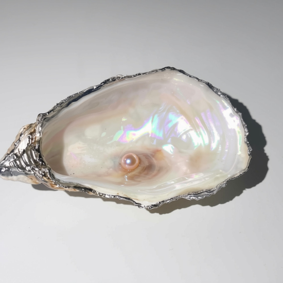 Moon Pearl – Handmade Oyster Shell Trinket Dish