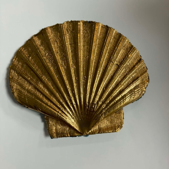 Midnight Botanicals – Solway Coast Scallop Shell Decor